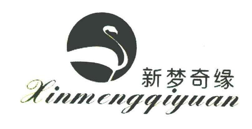 新梦奇缘