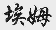 埃姆