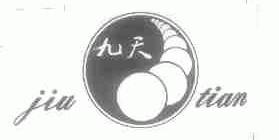 九天
