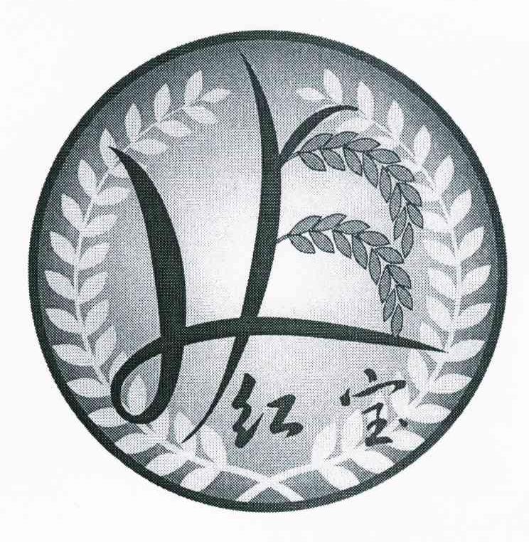 红宝 LY