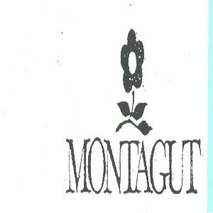 MONTAGUT