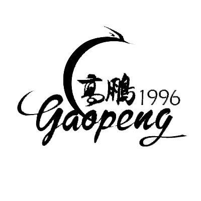 高鹏 1996