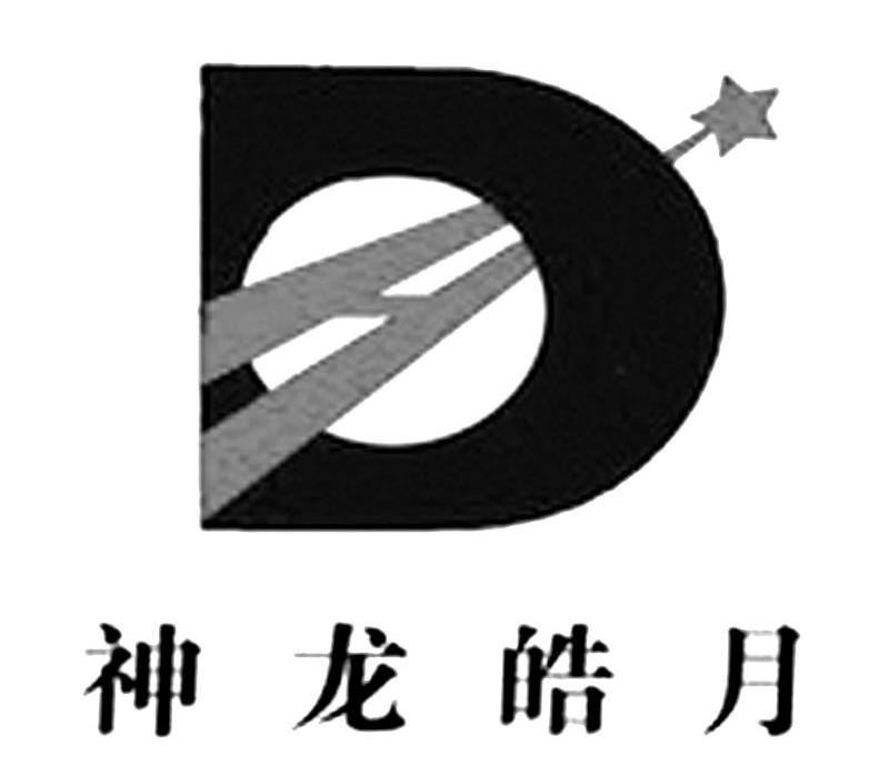 神龙皓月 D