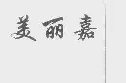 美丽嘉