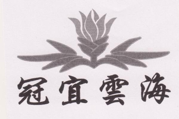 冠宜云海