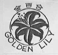 金百合;GOLDEN LILY