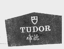 帝舵   TUDOR