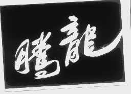 腾龙
