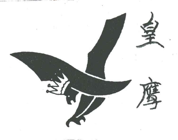 皇鹰