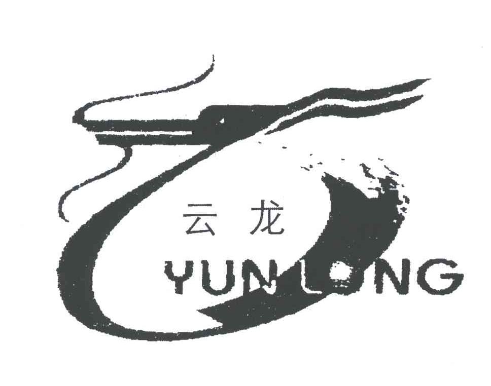 云龙