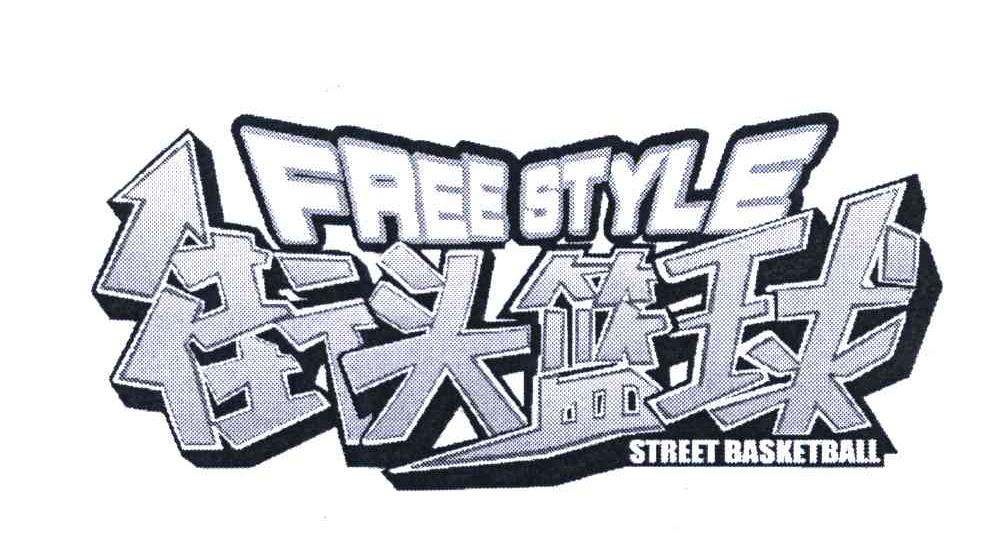 街头篮球;FREE STYLE;STREET BASKETBALL