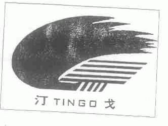汀戈;TINGO