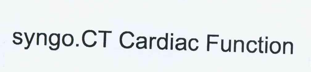 SYNGO.CT CARDIAC FUNCTION