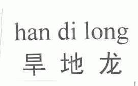 旱地龙