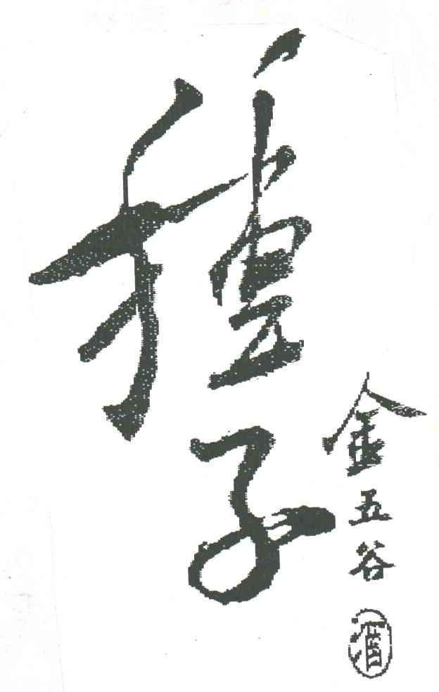 种子金五谷酒
