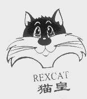 猫皇   REXCAT
