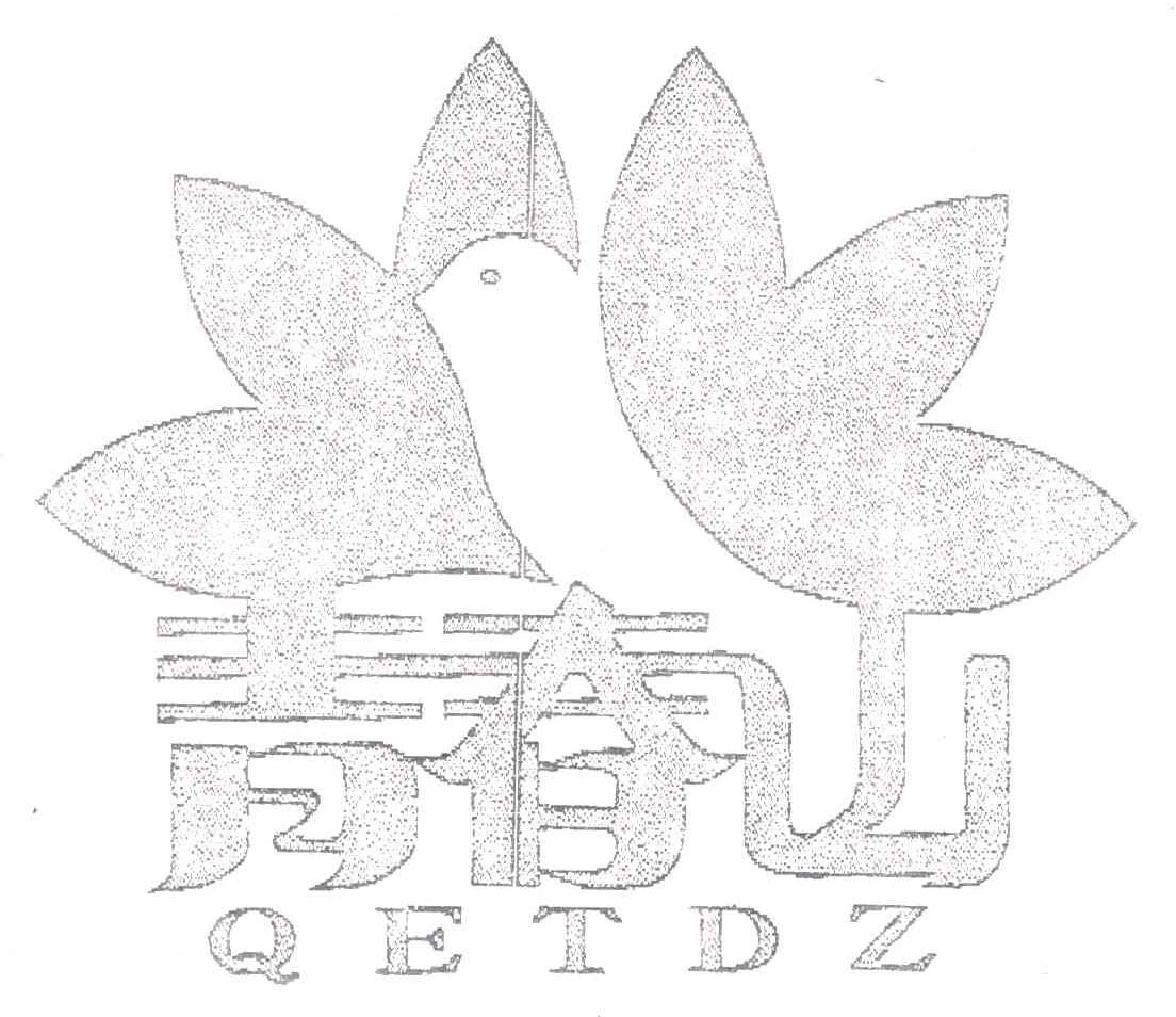 青春山;QETDZ