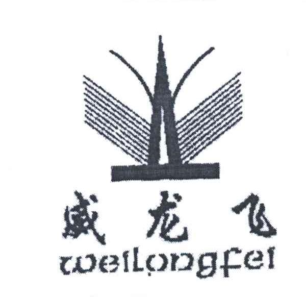 威龙飞