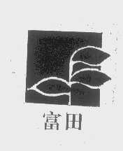富田