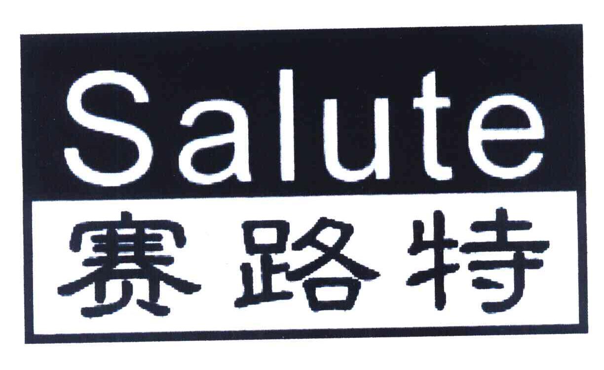 赛路特 SALUTE