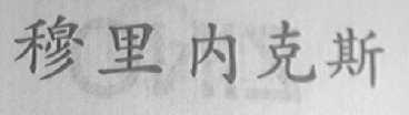 穆里内克斯