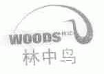 林中鸟;WOODS BIRD