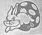大白兔