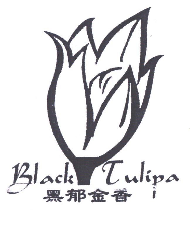 黑郁金香;BLACK TULIPA