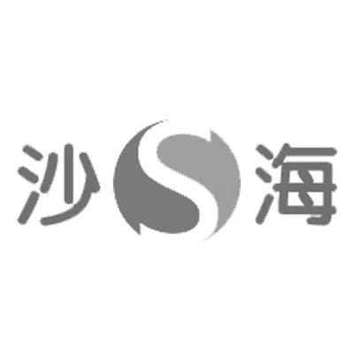 沙海 S