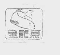 金龙鱼