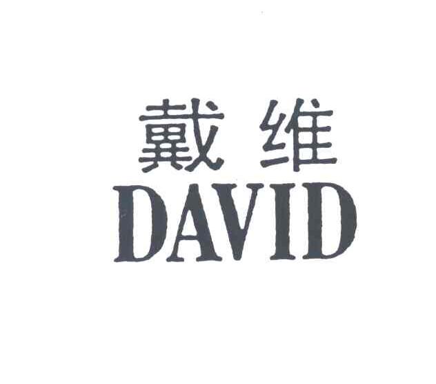 戴维DAVID
