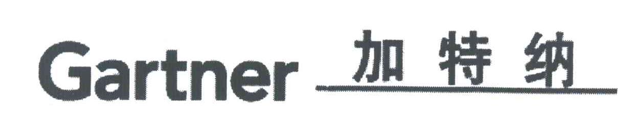 加特纳;GARTNER