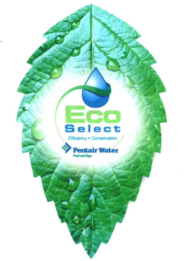 ECO SELECT EFFICIENCY&middot;CONSERVATION PENTAIR WATER POOL AND SPA
