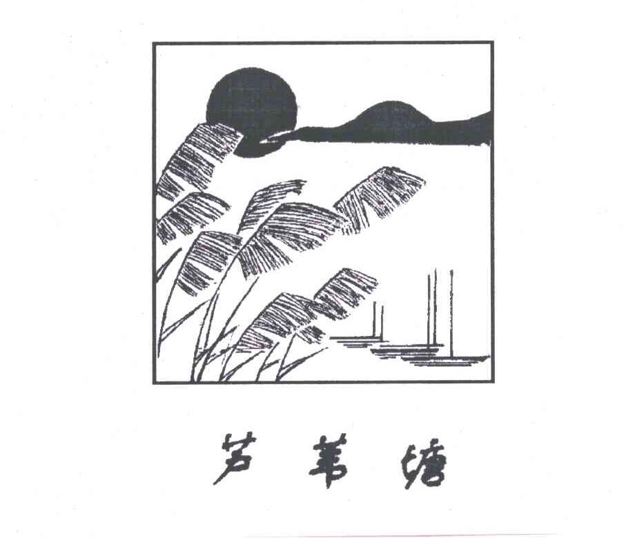 芦苇塘