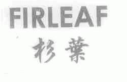 杉叶;FIRLEAF