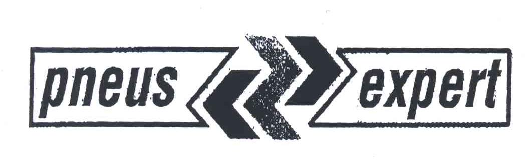 PNEUSEXPERT