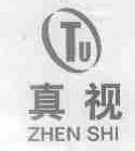 真视