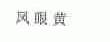 凤眼黄