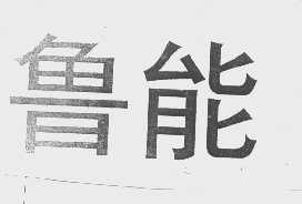鲁能
