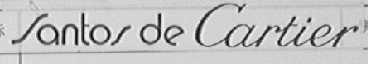 SANTOS DE CARTIER