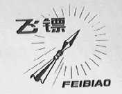 飞镖