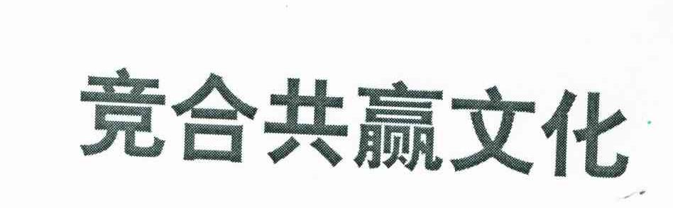 竞合共赢文化