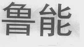 鲁能