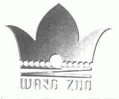 WANG ZUO