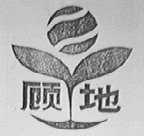 顾地