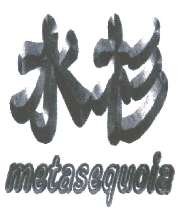 水杉;METASEQUOIA