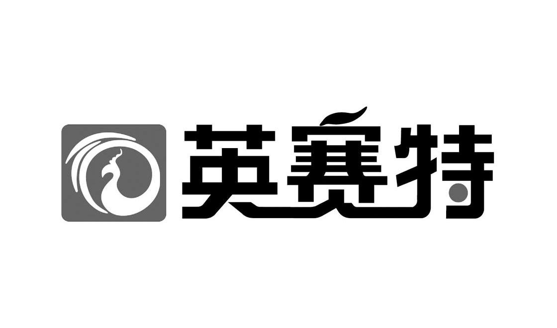 英赛特
