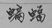 蝙蝠