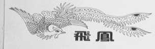 飞风