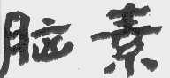 脑素